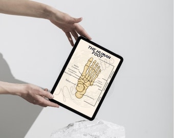 Foot Anatomy Diagram, Labeled/Unlabeled Anatomy Flashcard, Bone Anatomy Digital Download