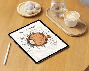 Eye Anatomy, Parts of the Eye, Eye Diagram,  Eye Anatomy Poster Digital Download