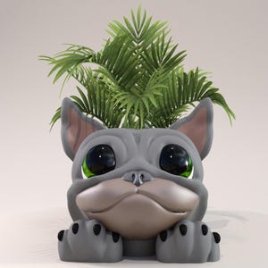 Könnte beinhalten: Ein grauer Bulldoggen-Blumentopf mit großen, ausdrucksstarken Augen und einer grünen Pflanze, die aus der Oberseite sprießt. Der Topf hat ein skurriles Design, wobei die Pfoten des Hundes an der Basis sichtbar sind. Die Pflanze hat lange, grüne Blätter.