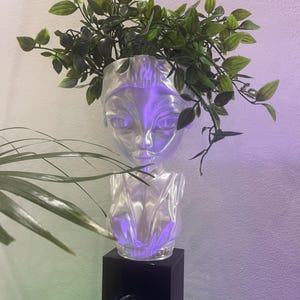 Venus Flower Pot -STL Files  -For 3d print