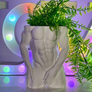 Puede incluir: Macetero de cerámica blanca con forma de torso humano con una planta verde frondosa que crece desde la parte superior.