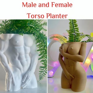 Puede incluir: Dos macetas de torso blancas, una masculina y otra femenina, con plantas verdes que crecen desde la parte superior. Las macetas están hechas de un material liso y blanco y tienen una apariencia realista. El texto "Male and Female Torso Planter" está escrito sobre las macetas.