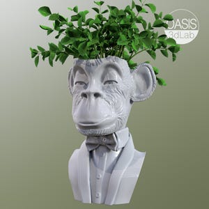 Monkey Bust Planter -3d printable flower pot -Stl file