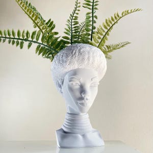Puede incluir: Un jarrón blanco con forma de busto con un rostro y cuello detallados, adornado con plantas verdes en forma de helecho. El jarrón tiene una superficie texturizada y un diseño único, perfecto para exhibir vegetación. El busto mide unos 25 cm de alto.