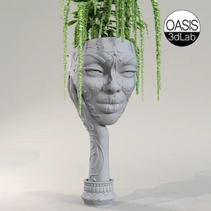 May include: A grey ceramic planter shaped like a woman's head with intricate details and a plant with long green leaves growing out of the top. The planter is on a white background.