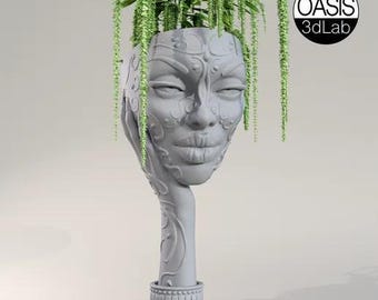 Face Flower Pot -For 3d print -Stl file