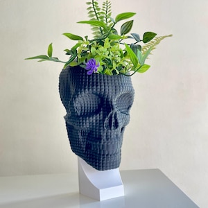 Skull Wall -Desktop Planter-Stl File