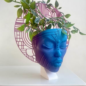 May include: A blue and purple face planter with a geometric design. The planter is filled with a green plant and has a pink geometric design behind it.