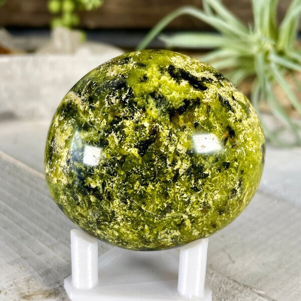 Vibrant Green Opal Palm Stone