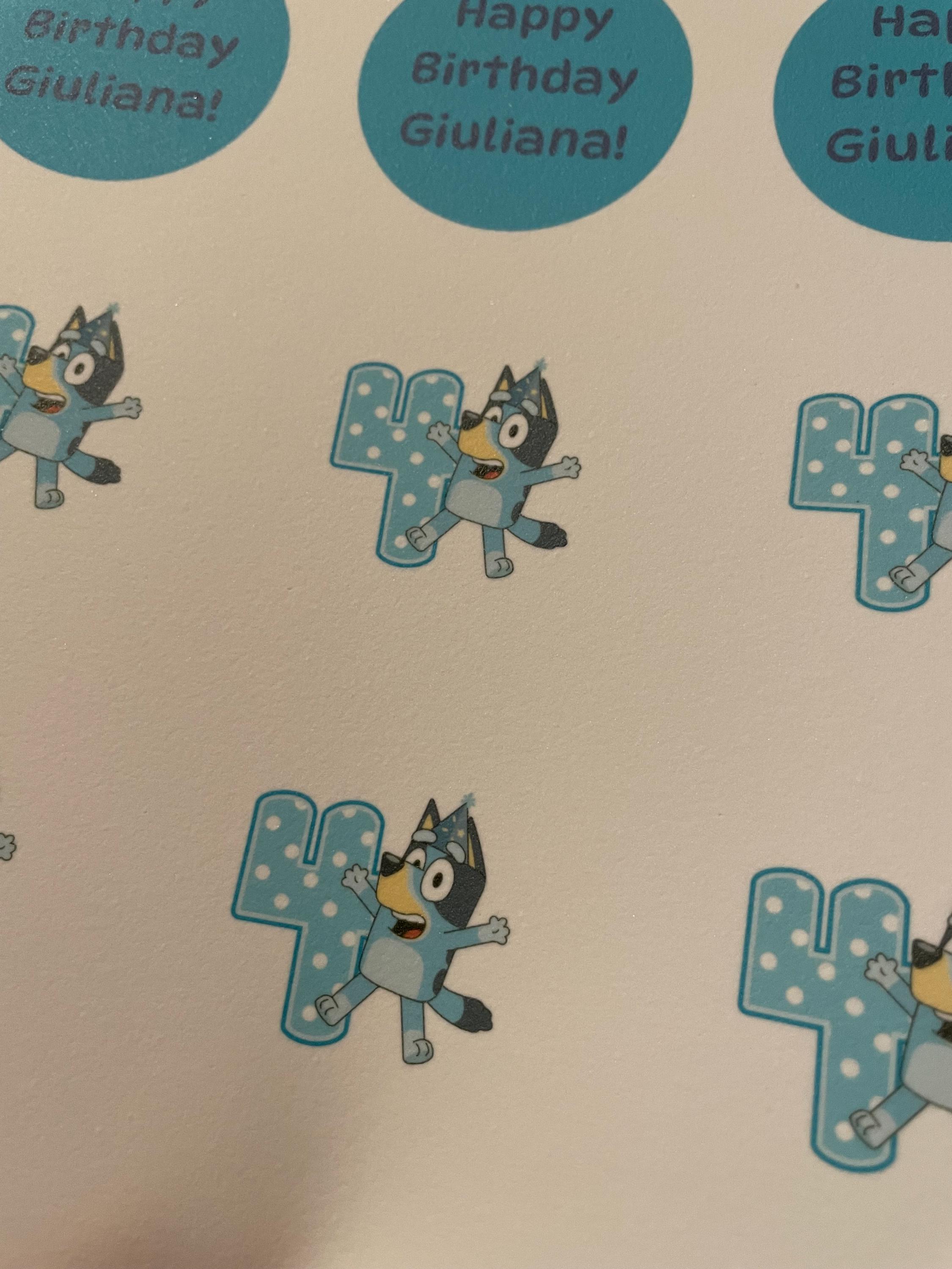 Custom Bluey Birthday
