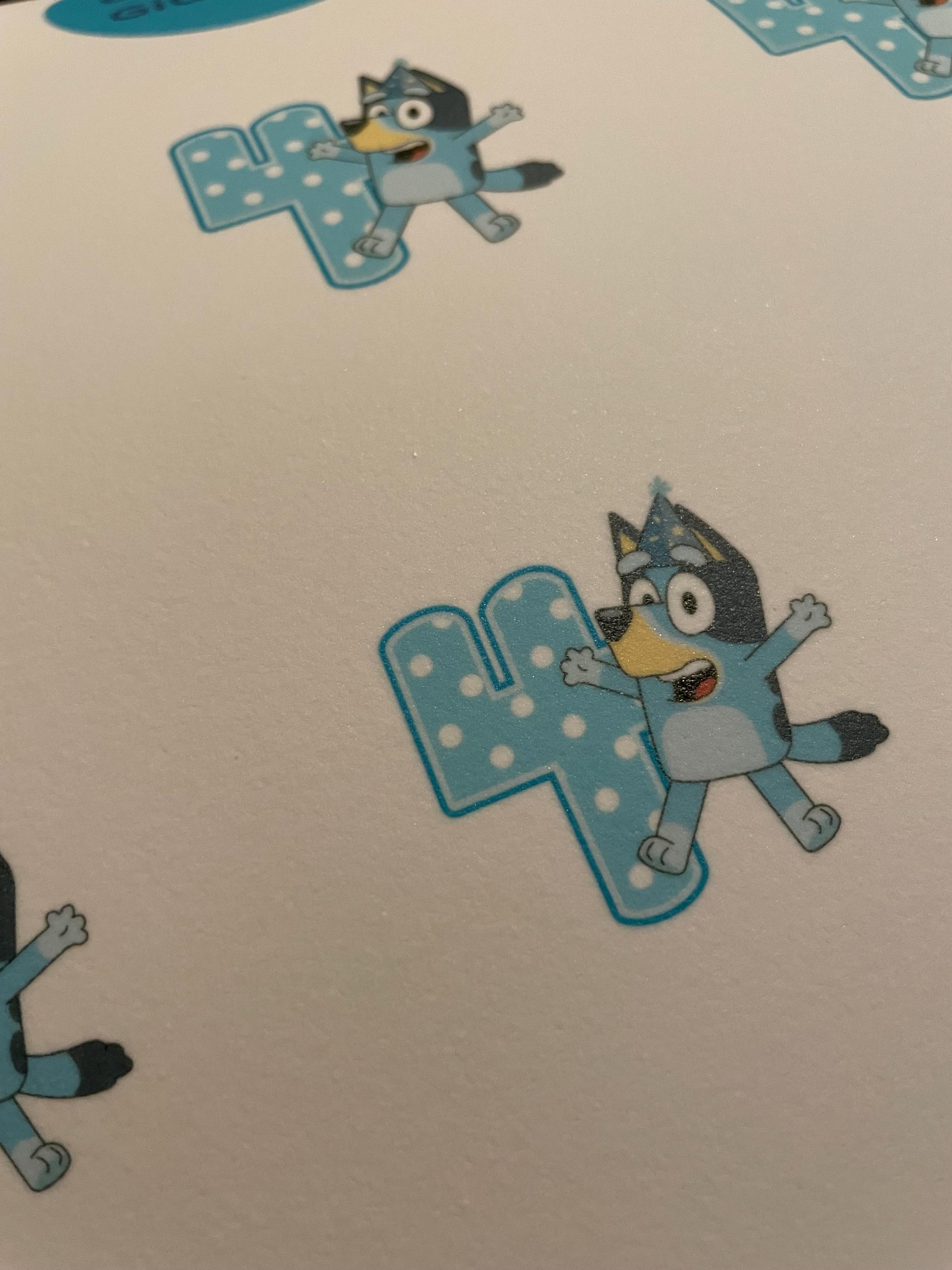 Custom Bluey Birthday