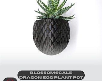 Dragon Egg Wall Planter: Blossomscale Indoor Plant Pot