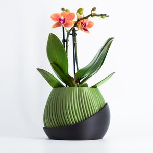 Pot de fleurs Bloomcrest : jardinière d'intérieur moderne avec plateau de drainage