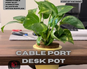 Multifunctional Cable Hole Pot for Desktop, Plant Pot, Pen Holder, Desk Organizer, Office Storage