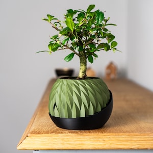 Vaso para plantas autoirrigável Wingcrest, vaso para plantas internas, irrigação automática, vaso para plantas domésticas, presente de jardinagem, fácil cuidado, decoração para casa