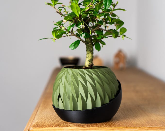 Wingcrest Self-Watering Plant Pot: Modern Indoor Planter, Easy Care