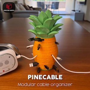 Könnte beinhalten: Ein ananasförmiger Kabelorganizer in Orange und Grün mit mehreren Ladekabeln, die in die Seiten eingesteckt sind. Der Text PINECABLE Modular cable organizer steht unter dem Objekt. Das Gerät besteht aus Kunststoff und hält verschiedene Kabel.