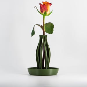 Propagation Vase for Plants and Cuttings – Glass Hydroponic Holder for Root Growth, Indoor Gardening & Plant Display Decor