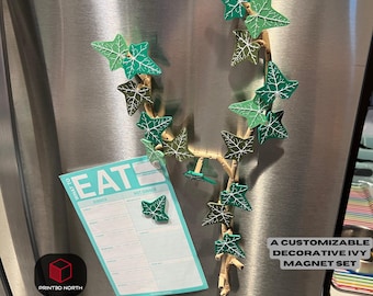 English Ivy Fridge Magnets: Botanical Kitchen Decor, Plant Lover Gift