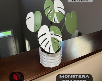 May include: A set of four white and green monstera plant coasters. The coasters are shaped like monstera leaves and are designed to double as a decorative plant. The text "DOUBLES AS A SET OF 4 COASTERS" is printed in black on a white background. The text "MONSTERA COASTER PLANT" is printed in black on a white background.