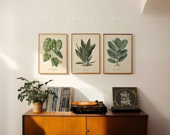 Verdant Virtuosity - Parlor Plant Portraits, Curated Art Prints, by the Poet and The Piper