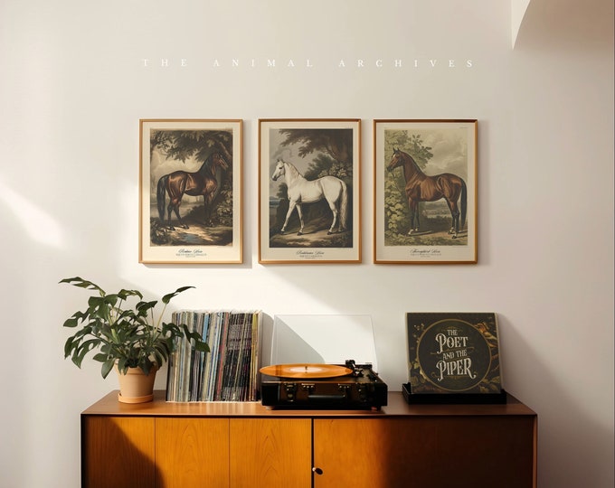 The Equine Majesty, A Curated Art Print set, by the Poet and The Piper