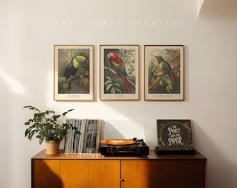 Vivid Wings, Curated Art Prints, by the Poet and The Piper