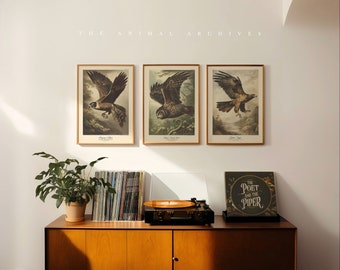 On Feathered Wings, Curated Art Prints, by the Poet and The Piper