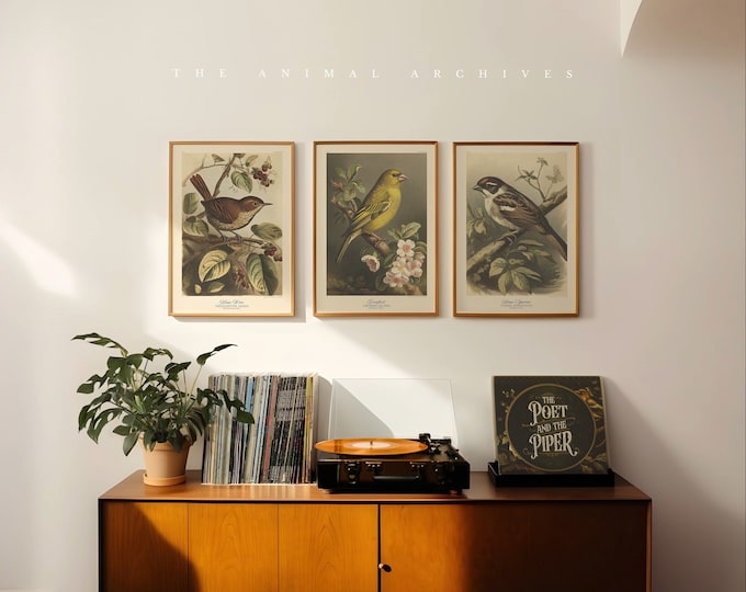 Feathers & Flourish, Curated Art Prints, by the Poet and The Piper