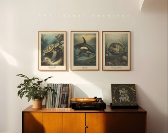 Secrets of the Sea, Curated Art Prints, by the Poet and The Piper