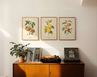 A Still Life of Sweetness: Citrus Sonata, Curated Art Prints, by the Poet and The Piper