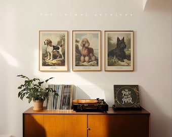 Noble Canines, Curated Art Prints, by the Poet and The Piper