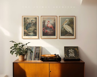 Birds of Poise, Curated Art Prints, by the Poet and The Piper