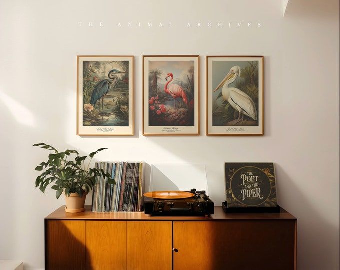 Birds of Poise, Curated Art Prints, by the Poet and The Piper