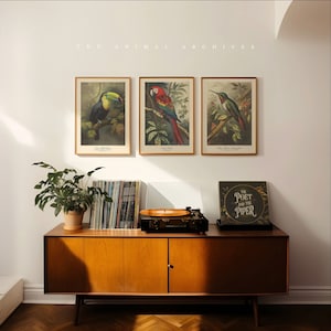 Arte murale Vivid Wings - Collezione di arazzi con uccelli tropicali / Set di 3 / Stile antico vintage / Vita in giardino / Uccelli / Amici alati