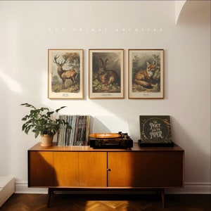 Stampe Wilderness Wanderers. Collezione Creature della Foresta / Set di 3 / Arte murale / Stile antico vintage / Foresta / Volpe / Cervo / Coniglio