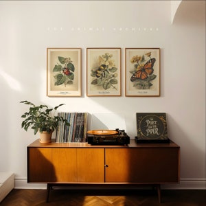 Tiny Wonders Prints Collezione The Art of Insects / Set di 3 / Arte murale / Stile antico vintage / Vita in giardino / Coccinelle / Farfalle / Api