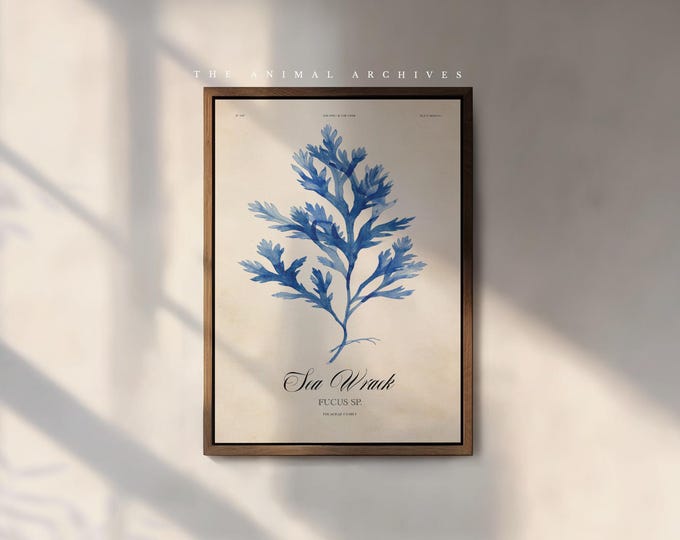 Coastal Botanical Wall Art, Seaweed