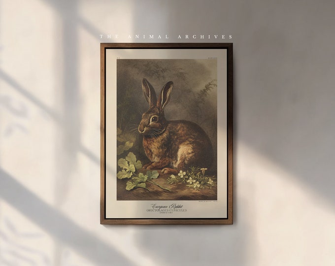 The European Rabbit Art Print, by the Poet and The Piper