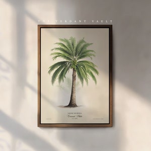 Kokospalme Kunstdruck | Naturforscher | Wandkunst | Dekor | Antiker viktorianischer Stil | Gartenleben | Obst | Stillleben Geschenk | Historisches