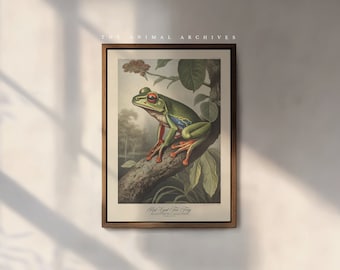The Red Eyed Tree Frog Art Print, by the Poet and The Piper