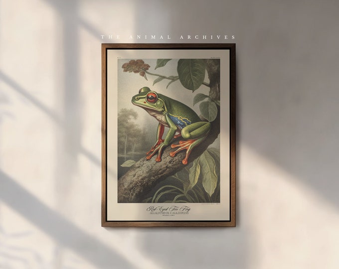 The Red Eyed Tree Frog Art Print, by the Poet and The Piper