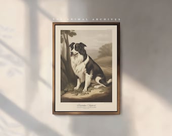 The Australian Shepherd Art Print, by The Poet and The Piper