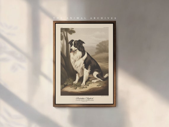 The Australian Shepherd Art Print, by The Poet and The Piper