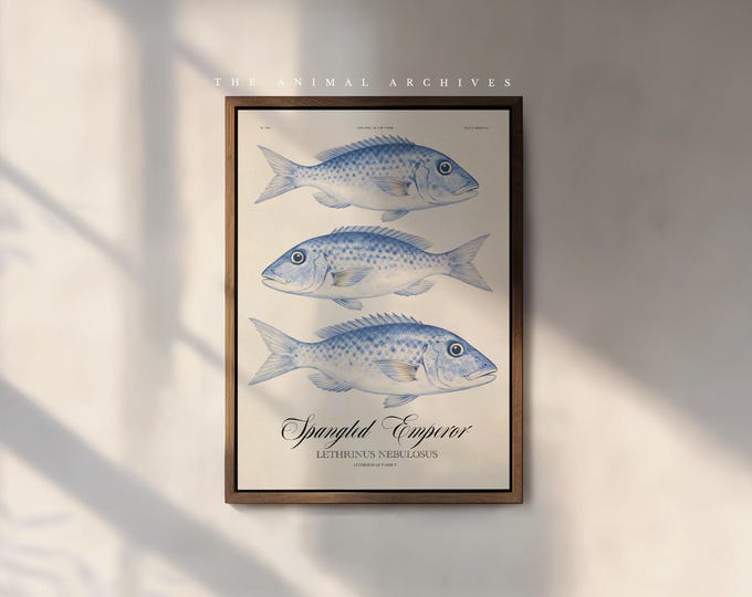 Vintage Coastal Fish Wall Art, Atlantic Mackerel