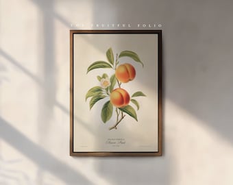 The Monroe Peach Art Print, by the Poet and The Piper