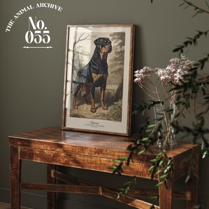Elegant framed pet portrait depicts one of a series of collectibles. Displayed on a rustic wooden table against a muted green wall. The vintage-inspired print, labeled 'The Animal Archives No. 055,' adds a classic touch to the cozy, natural setting.