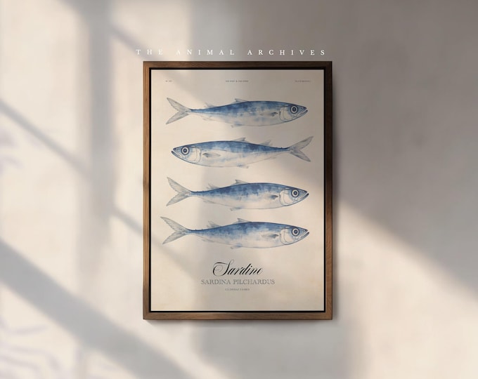 Vintage Coastal Fish Wall Art, Sardines