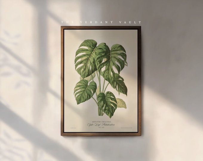 The Monstera Deliciosa Art Print, by the Poet and The Piper