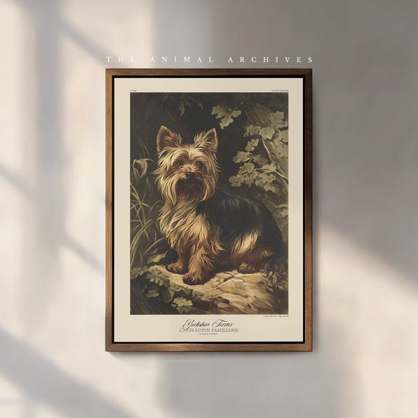 Le Yorkshire Terrier - Impression d'art | Naturaliste | style vintage | Art mural | Décoration | Victorien antique | Propriétaires de chiens | Cadeau chien | Animal de compagnie